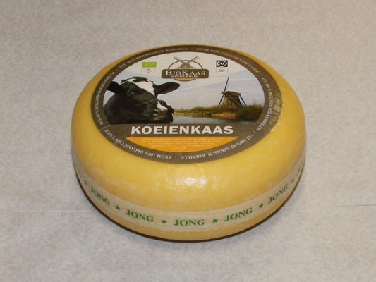 Eko jonge kaas