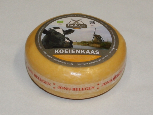 Ekokaas jong belegen