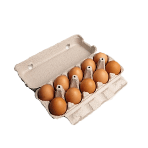 Verse eieren 10 stuks
