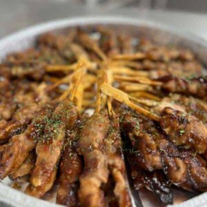 Partypan Yakitoriespiesjes 40 stuks